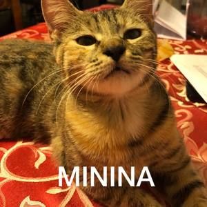 Meet your Posher, Ondina